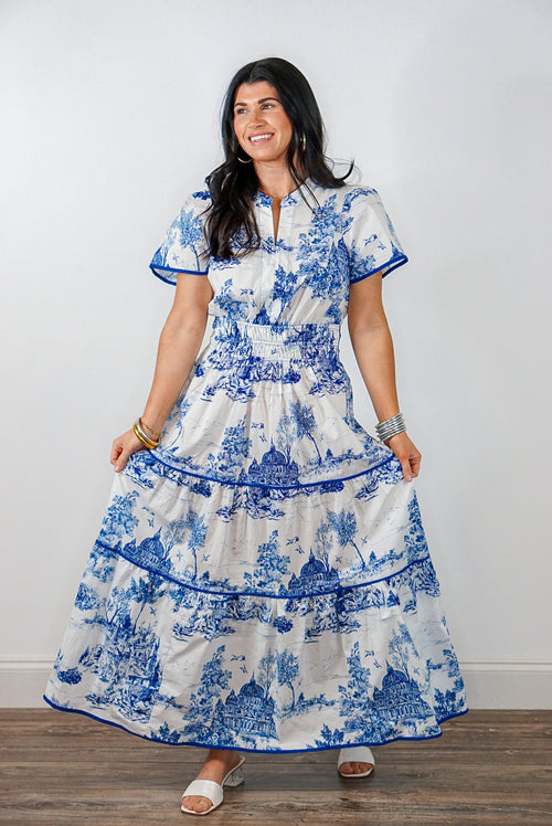 Blue Willow Print Maxi Dress