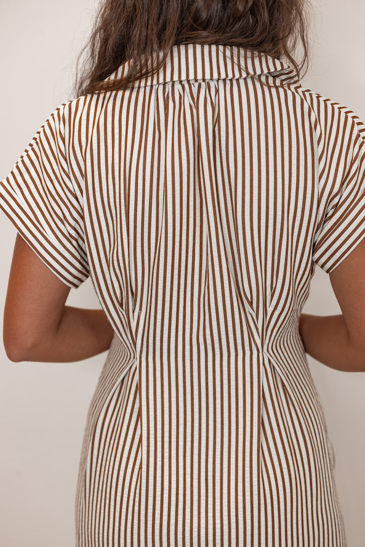Close up of back view of Women's ivory and brown striped midi dress 
