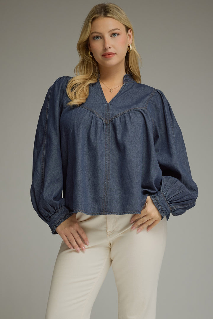 entro denim plus size top