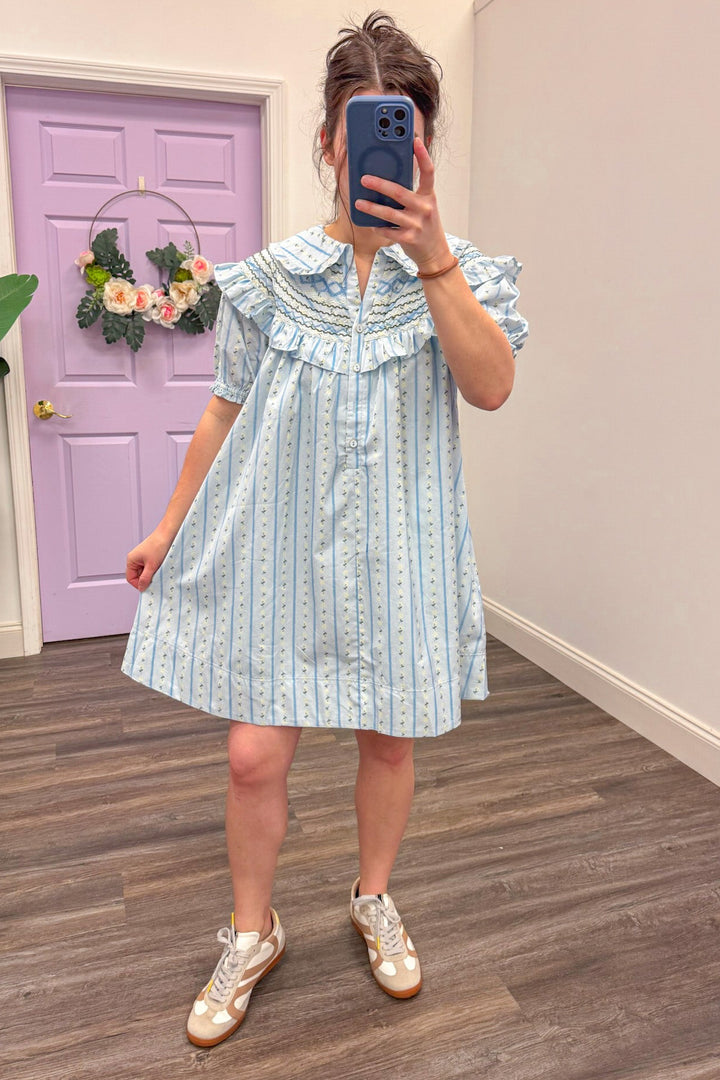 karlie clothing cotton blue floral stripe peter pan dress